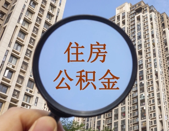 德宏退休后查不到公积金明细了吗（退休后公积金查询不到原因）